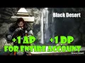 Black Desert Permanent 1 AP and 1 DP For Entire Account Kamasylvia and Odyllita Bonus Quests