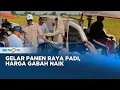 Download Lagu Menteri Pertanian Panen Raya Padi di Gresik, Harga Gabah naik 6.500