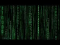 Matrix Binary Code Loop Stock Motion Graphics