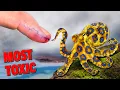 Touching the Most TOXIC Creature on the Planet