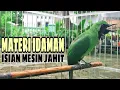 Download Lagu MATERI MEWAH!!! Ijo Gacor Ngentrok Full Tembakan Kasar, Ampuh Untuk Melatih Cucak Ijo Gacor