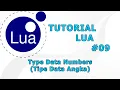LUA TUTORIAL - Number Data Types