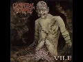 Download Lagu Cannibal Corpse - Vile (1996) (FULL ALBUM)