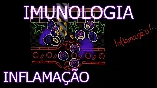 Aula: Imunologia - Inflamação | Imunologia #2