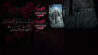 رقية عشاق الدم السحر الفرعوني  رقية عشاق الدم السحر الفرعوني