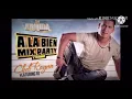DJ Hamida ft Cheb Rayan N’brik N’brik but it’s less than 1s