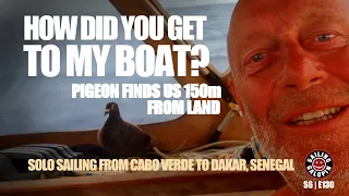 Got A Pigeon Voyager 150nm From Land | Solo Sailing From Cabo Verde To Senegal Africa | S6 Epsd 130