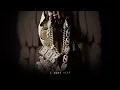 Fredo - Rappin n Trappin II (Official Lyric Visualiser)