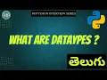 What are Data types in Python in Telugu python interview series