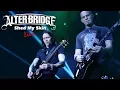 Download Lagu Alter Bridge - Shed My Skin LIVE in HD