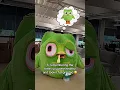 Download Lagu bird flu don’t play #birdflu #sick #duolingo