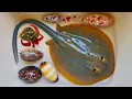 Download Lagu Tangkap ikan pari dan kelomang, siput, keong, belut, kepiting, ikan laut, starfish, ikan nemo, ikan
