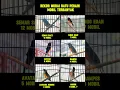 Download Lagu Rekor Murai Batu Peraih Mobil terbanyak #muraibatu #avatar #rampes #minion #semarsakti #singoedan