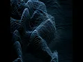 Vocoder