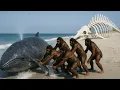 Download Lagu The World of Homo habilis: Life on the African Savanna in 2.1 Million Years Ago – EP. 35