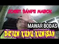 Download Lagu JOGET ENAK POOLLLL _SAMPE MABOK _ DICIUM KUNU KUMISAN LANJUT MAWAR BODAS