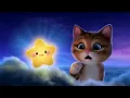 Noel star adventure