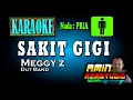 SAKIT GIGI || Meggy Z || KARAOKE Nada PRIA