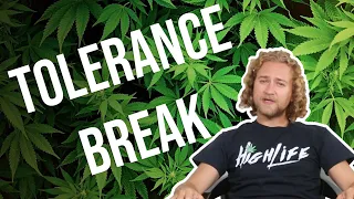 Tolerance Breaks Short and long