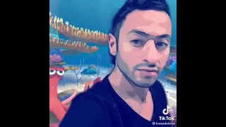 تجميع احلى فيديوهات تيك توك حماده هلال 