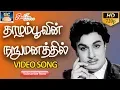 Download Lagu தாழம்பூவின் நறுமனத்தில் முழு பாடல் | Thazhampoovin Narumanathil Video Song | Thazhampoo Movie