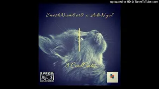 sneshnum6er9 x adonyol 3 coolcatz