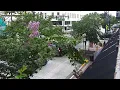 LIVE Downtown DeLand South Woodland Blvd 2026-08-17 6 PM ET