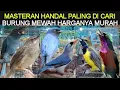 Download Lagu ✅ MASTERAN HANDAL PALING DI CARI BURUNG MEWAH HARGA MURAH KIOS OM YADI PASAR BURUNG PRAMUKA HARI INI