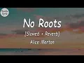 Alice Merton - No Roots [Slowed + Reverb] (Lyrics Video) (- a thousand times) (Tiktok Song)