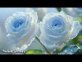 Download Lagu The most beautiful melodies in the world🌺Music that will never get boring🌿Sergey Grischuk