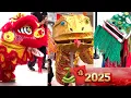 Download Lagu 2025 Story of the Snake Gund Kwok Female Lion Dance USA CNY Performance Boston Peabody Museum PART 1