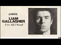 Liam Gallagher I've All I Need (Lyrics)