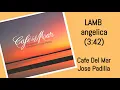 LAMB angelica Jose Padilla Cafe Del Mar The Best Of