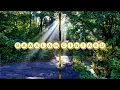 Bawalah Cintaku - Christ Kayhatu