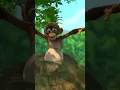 Watermelon Belly Jungle Beat