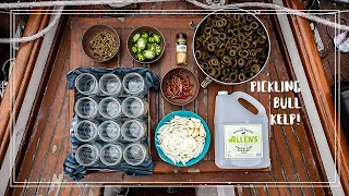 Pickling Bull Kelp (on a sailboat) | The Wayward Life
