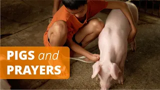 Two families across the world are connected through prayer and the gift of pigs.