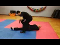Download Lagu Jeet Kune Do grappling technique