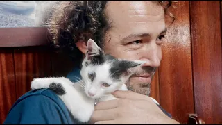 A CAT on BOARD ??? | 22° SOUTH | Ep.57