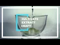 The Surterra Wellness Story
