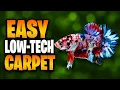 The Best Carpeting Plant If You Don t Use CO2