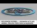 Advance Steel - Drawing Styles Model Roles Prefixes and Queries