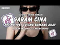 Lagu DJ GARAM CINA VIRAL TIKTOK 2025 PET POLIPET