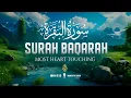 Download Lagu Surah Al-Baqarah سورة البقرة Full Emotional Voice That Will Deeply Touch the Soul | WonderfulQuran