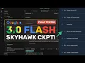 Lagu Gemini 3.0 Flash (Skyhawk CKPT Tested): Cheap \u0026 Awesome Coding Model by Google is COMING!