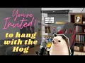 Download Lagu Friends!  - Come hang with the hog 🦔 Happy 4th of July! 💥