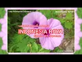 Download Lagu INDONESIA RAYA I Lagu Kebangsaan Indonesia #musikinstrumental