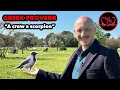 Greek Proverb - meaning and usage