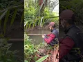 Download Lagu Disaranin mancing di tengah hutan rumpiah ikan jaer warna Putih 😱?