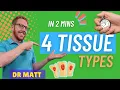 The 4 Tissue Types In 2 Mins
